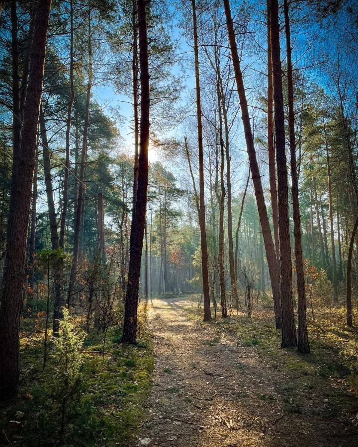 Park Rekreacyjno-Biznesowy Las Woda Вильга Экстерьер фото